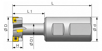 PT01.12W40.050.02.H22 Дисковая фреза со сменными пластинами