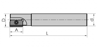SR0025K21 Фреза концевая резьбонарезная (SANT)